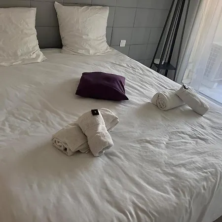 Fleuries Grand 2 Pieces Climatise * Cannes