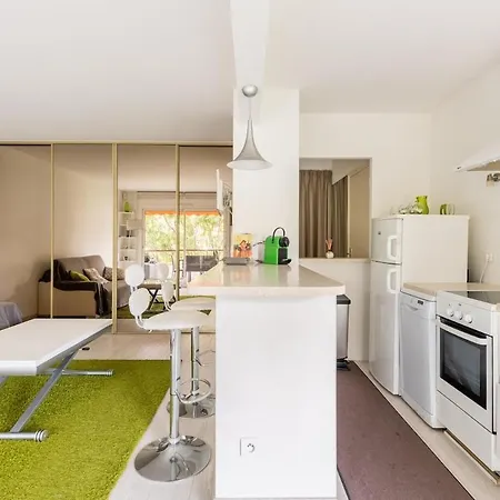 Fleuries Grand 2 Pieces Climatise * Cannes